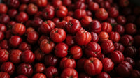 Vitamine C